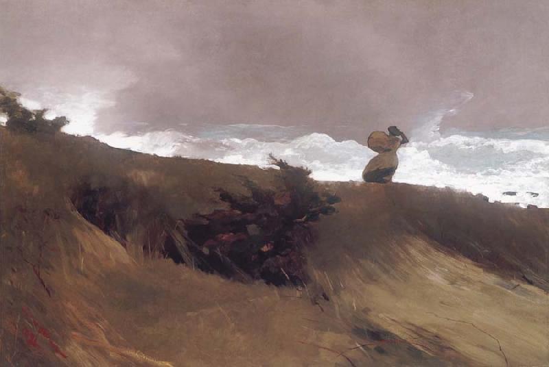 Winslow Homer The West Wind